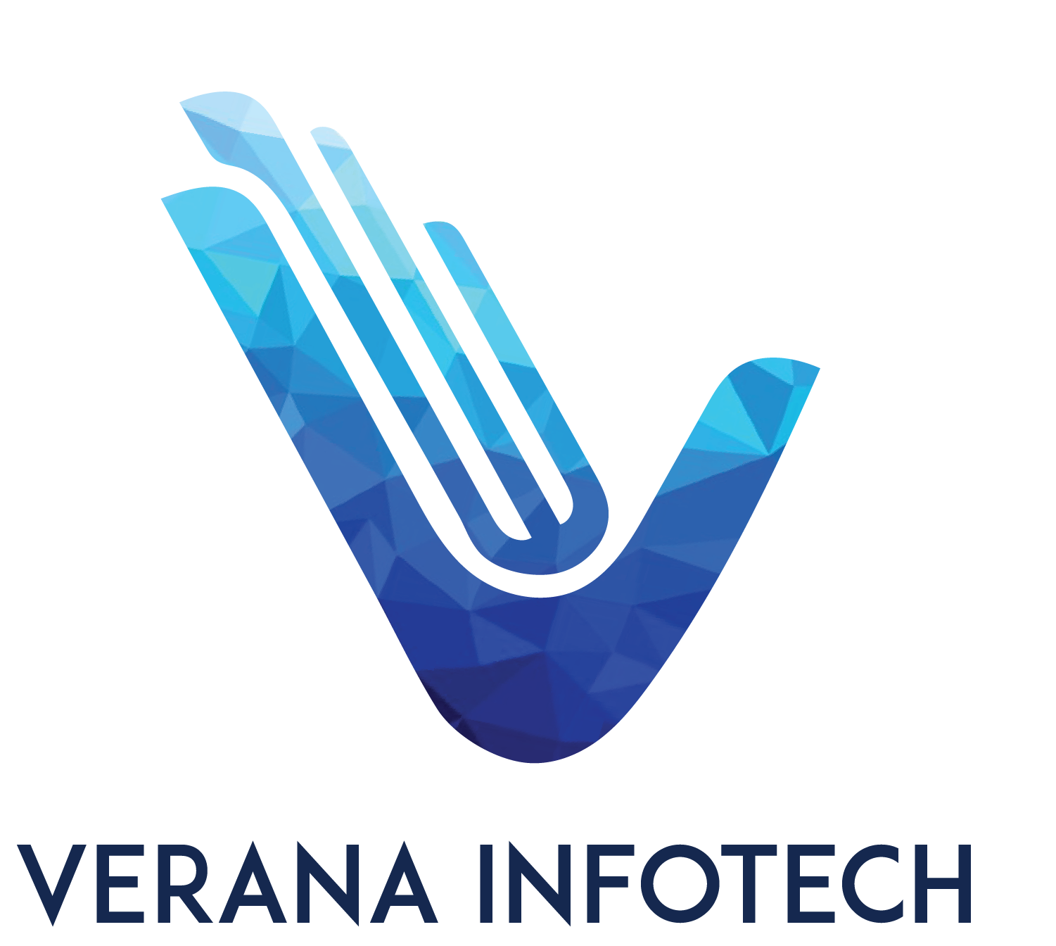 Verana Infotech | Your One Stop IT Solutions Provider